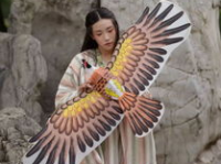 风筝小姐姐,翱翔在蓝天下的青春传奇