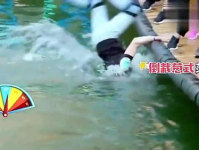 恐龙队的小姐姐,揭秘恐龙队背后的魅力女神