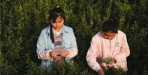 汉阴小姐姐,探寻古韵新颜的美丽传奇
